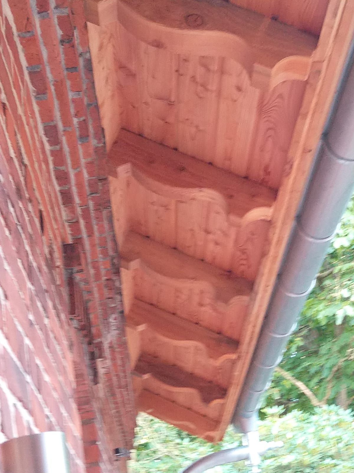 Daniel Kiffer Holz- und Baumontagen in Bruchhausen-Vilsen