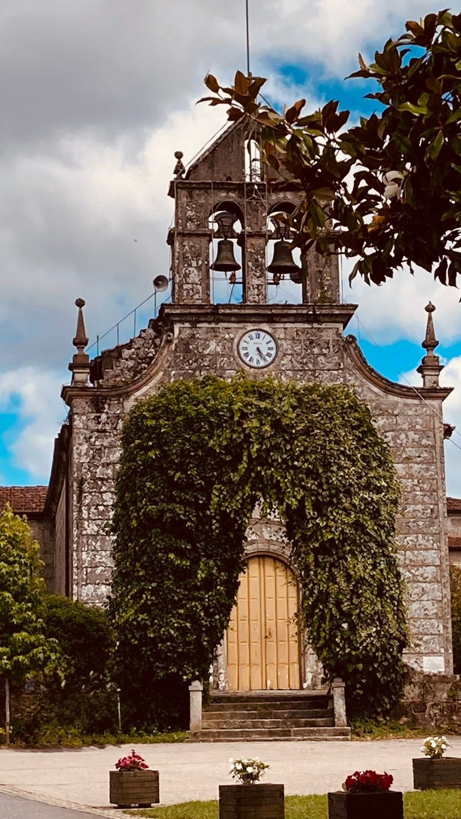 Ruta circular de piedra que serpentea a través de un bosque soleado. 
