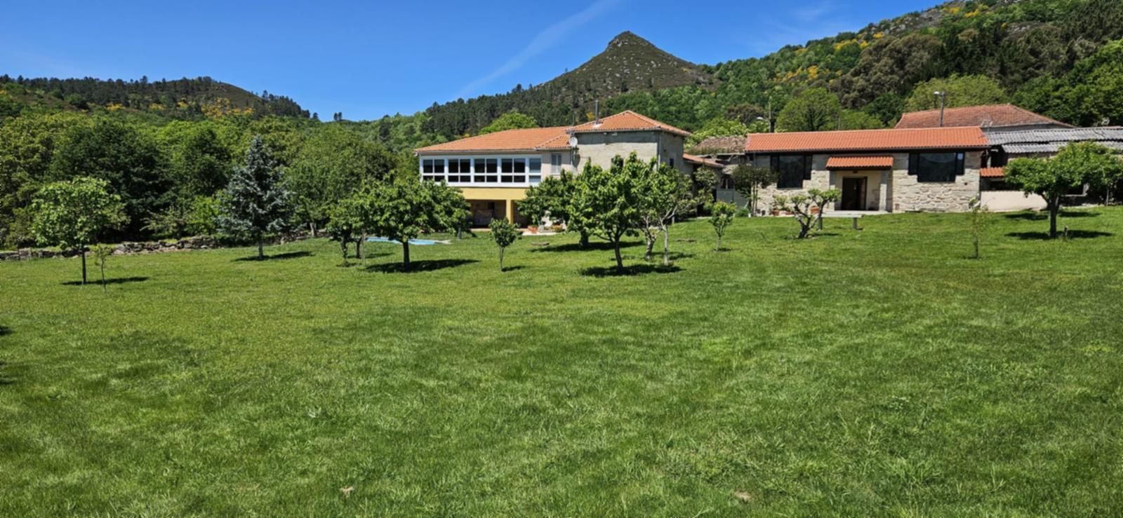 Un patio cubierto de hierba con árboles, dos edificios y una montaña al fondo bajo un cielo azul.