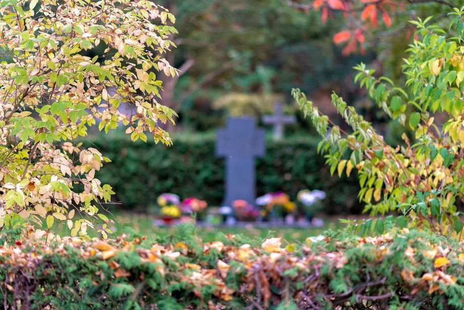 Friedhof mit Grabsteinen und Bäumen