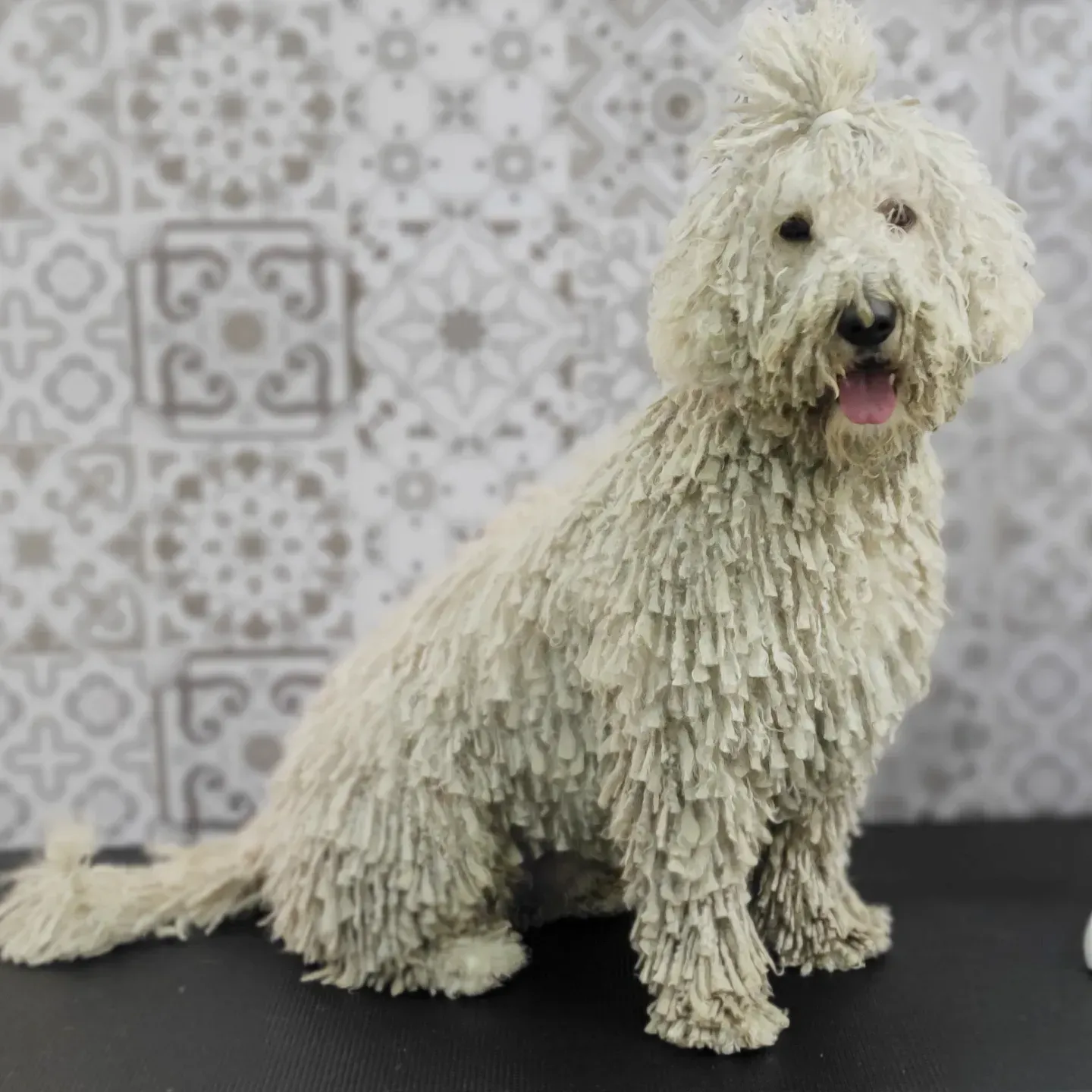 Un perro blanco con una lengua rosada está sentado en una mesa.