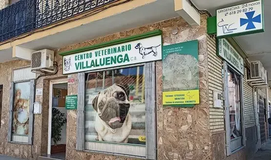 Un consultorio veterinario con una foto de un perro en la ventana.