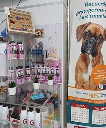 Un perro boxer está parado junto a un cartel que dice recuerdo protegerme