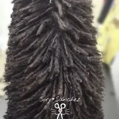 Un primer plano del pelaje de un perro con un par de tijeras.