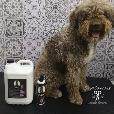 Un perro está sentado en una mesa al lado de una botella de champú.