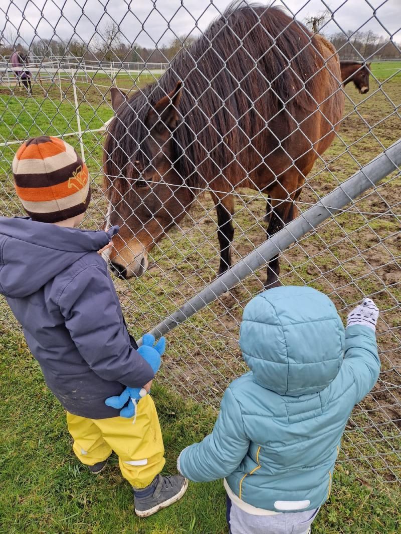 Kinder vor einem Pferd,  Foto von der Biberister Tagesmutter