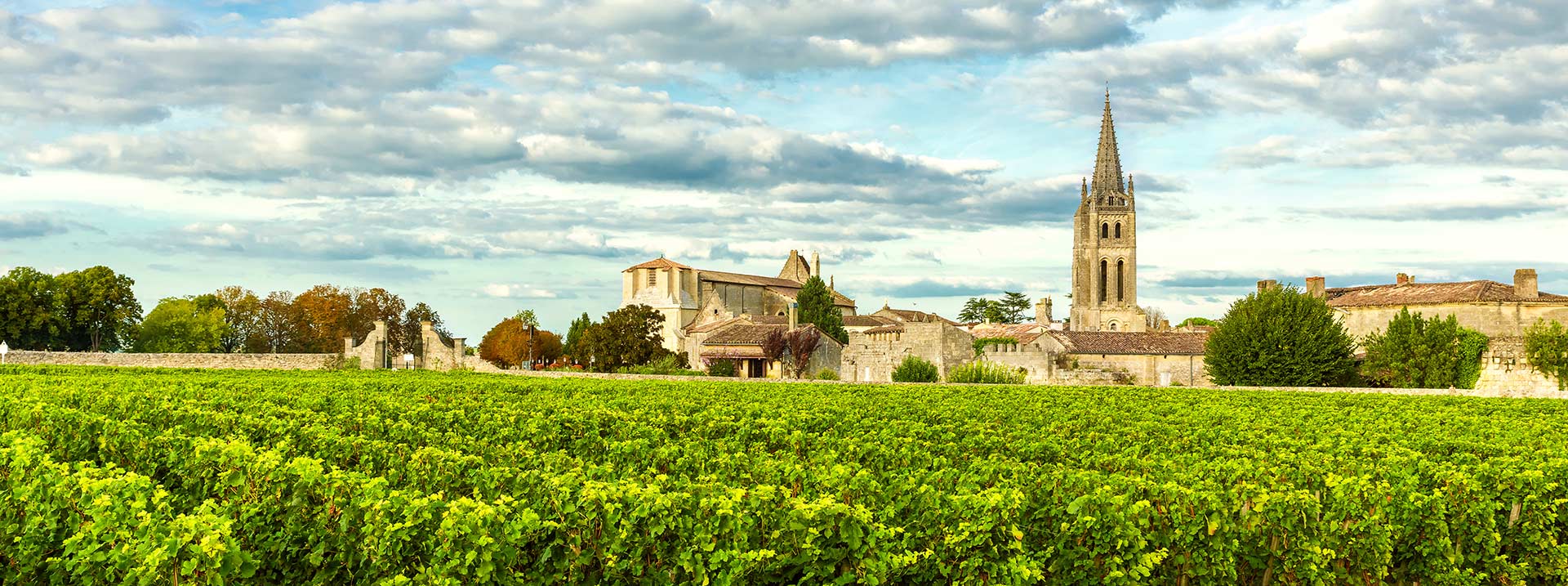 Vignes de Saint-Émilion