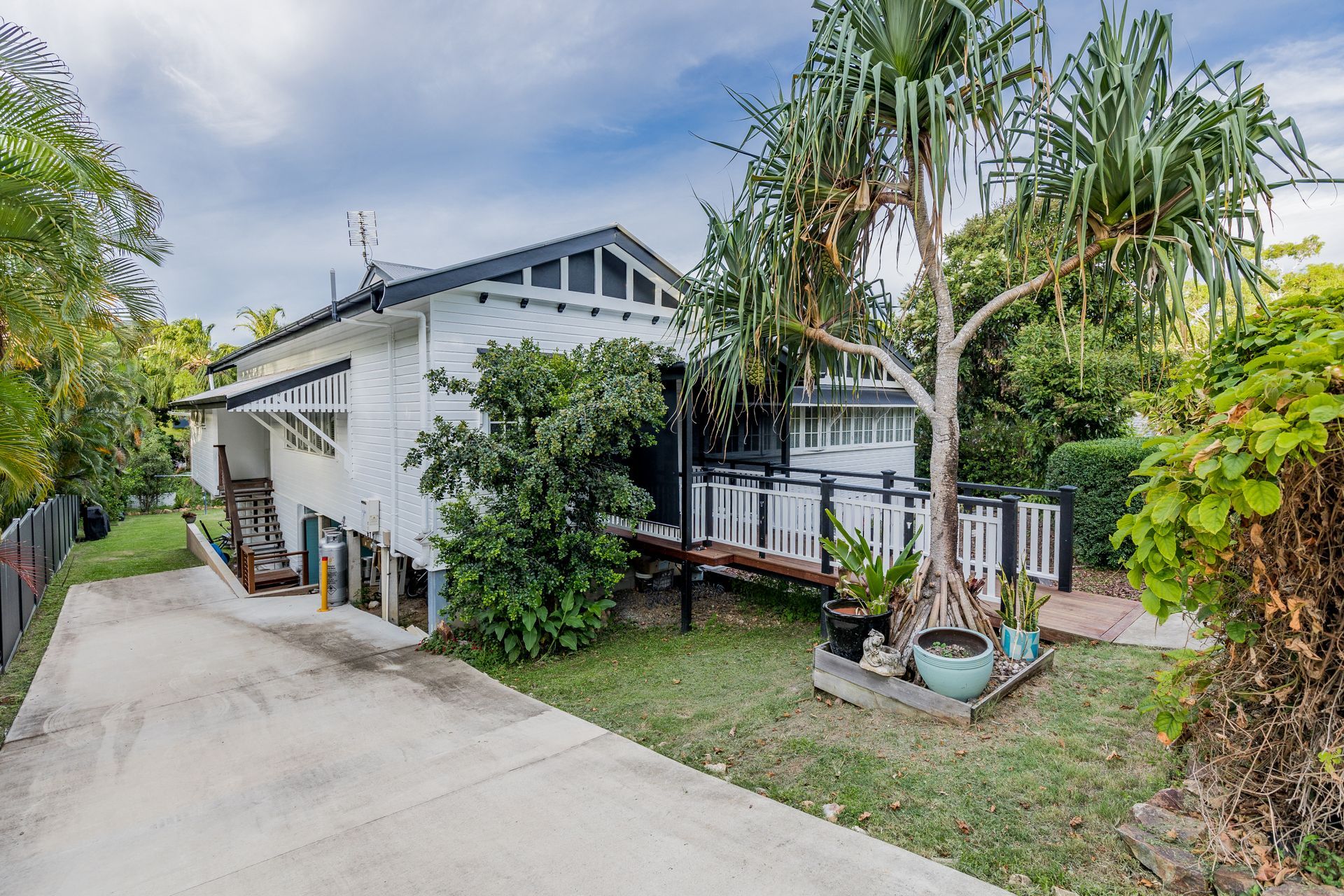 A white house with a concrete driveway and a palm tree in front of it.