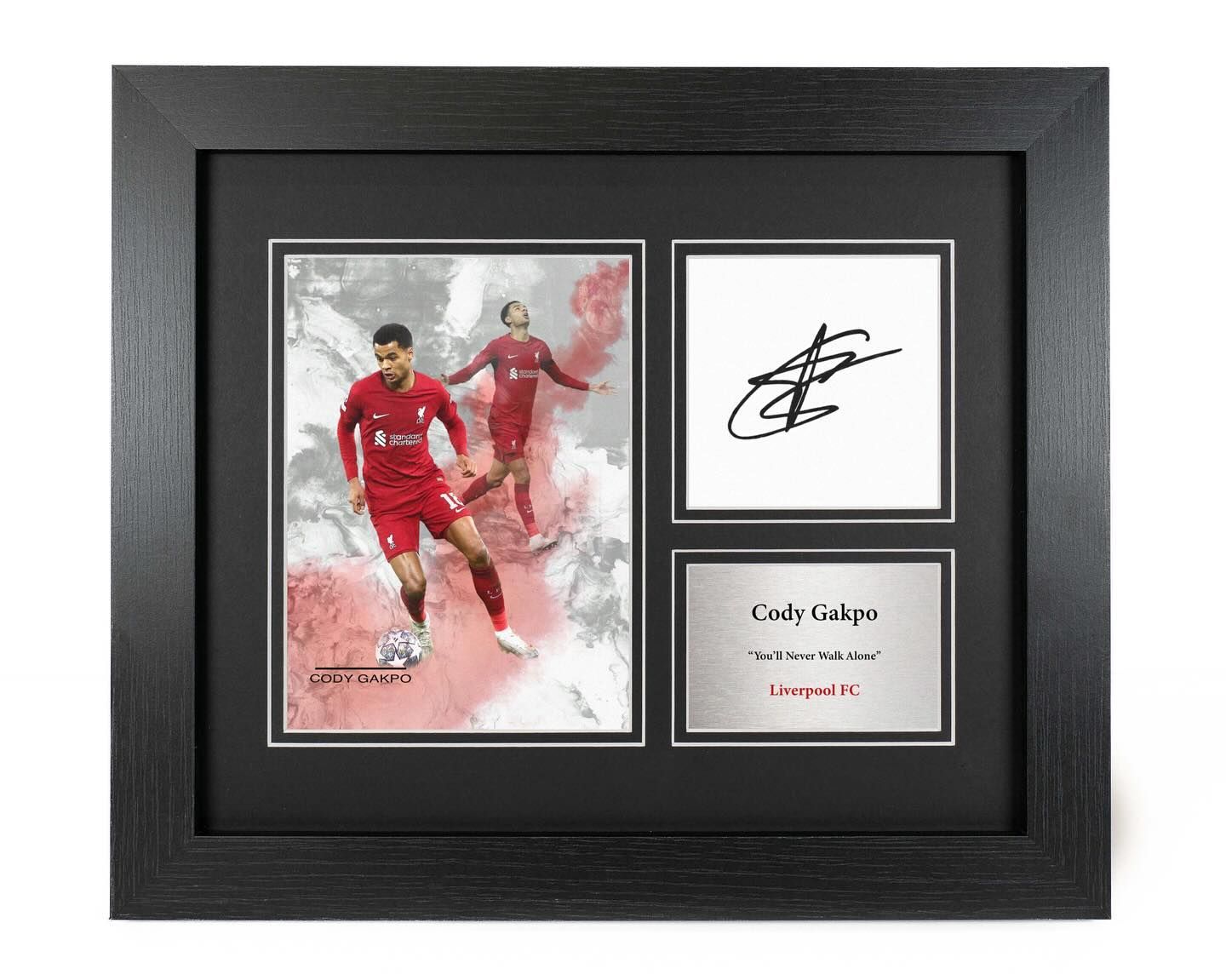 Cody Gakpo – Footballer Reproduction: