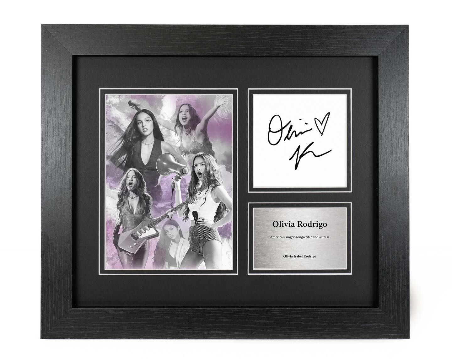 Olivia Rodrigo – Musician Reproduction: