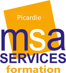 MSA Services
