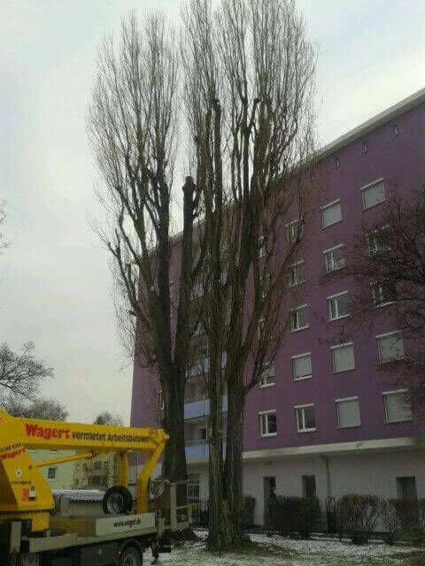 Michael Spachtholz Garten - und Landschaftsbau