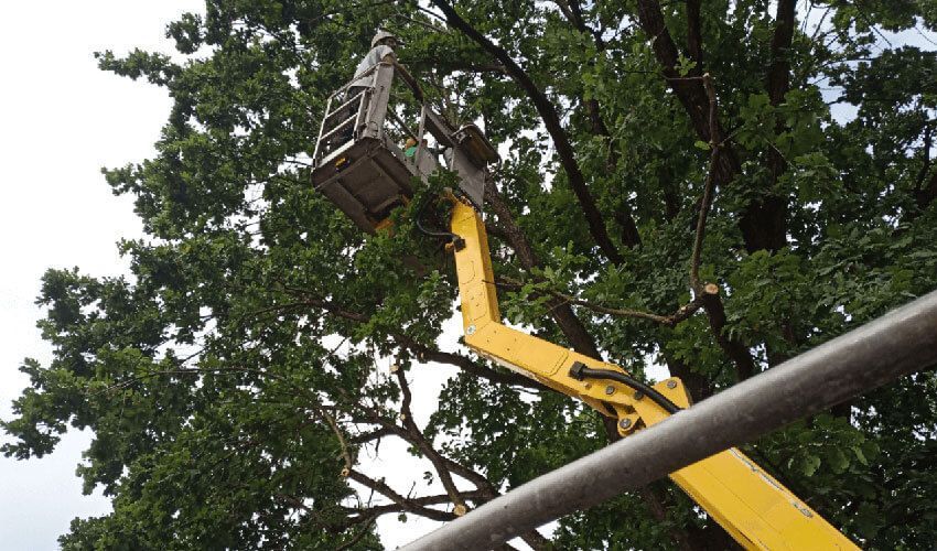 Michael Spachtholz Garten - und Landschaftsbau