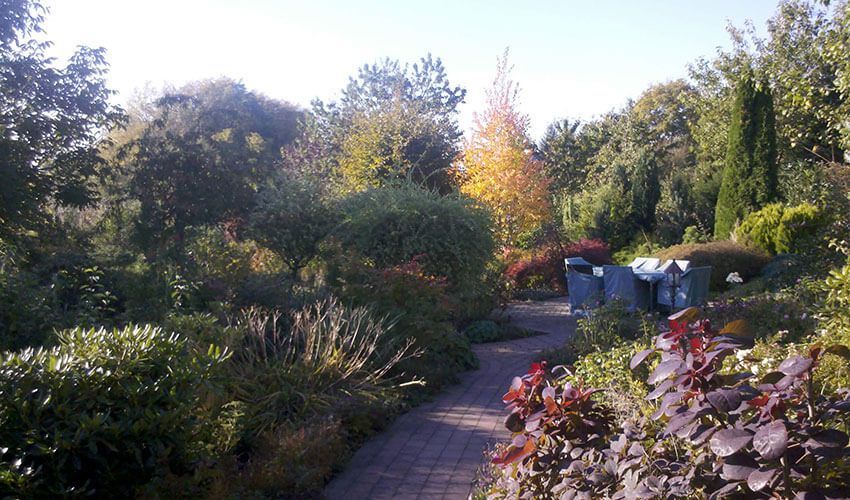 Ein Ziegelweg schlängelt sich unter sonnigem Himmel durch einen üppigen Garten mit verschiedenen Bäumen und Pflanzen.