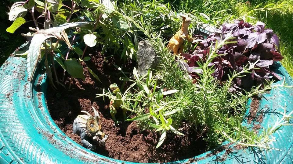 Michael Spachtholz Garten - und Landschaftsbau