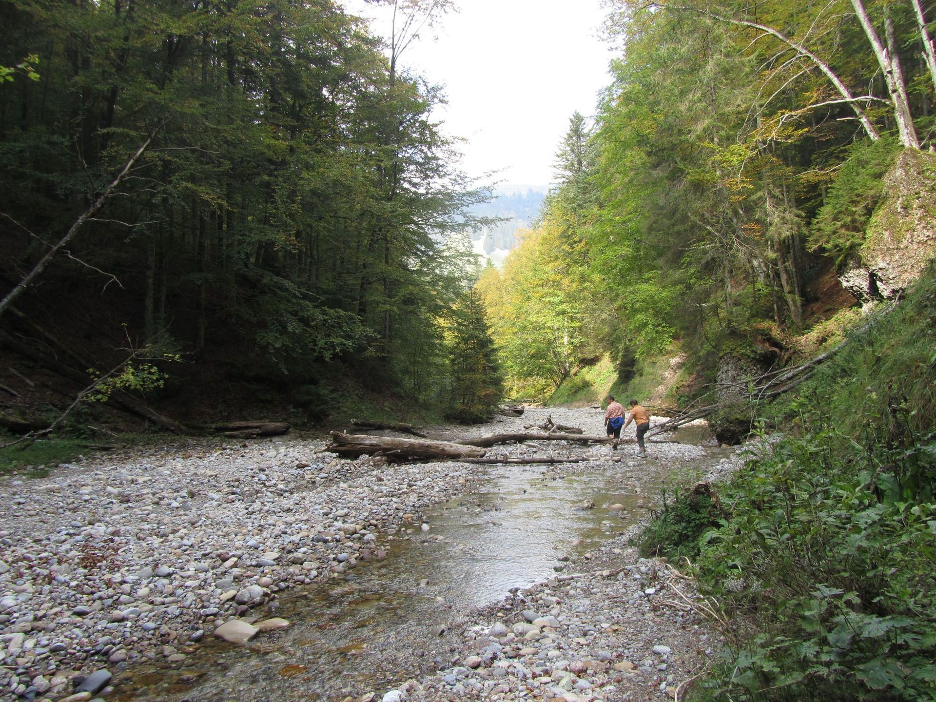 Umgebung - Campingplatz Camping Bächli im Appenzell