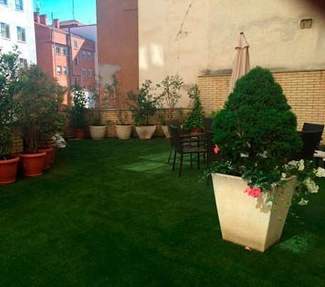 Un patio con muchas plantas en macetas y una mesa y sillas.