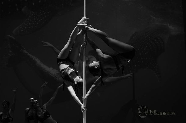 Danseuse de pole dance la tête en bas, jambes écartées, sur une barre verticale. Noir et blanc, avec des ombres.