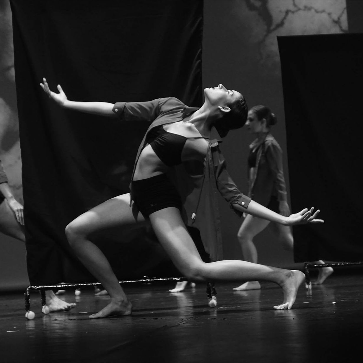 Vers la page La Crau.