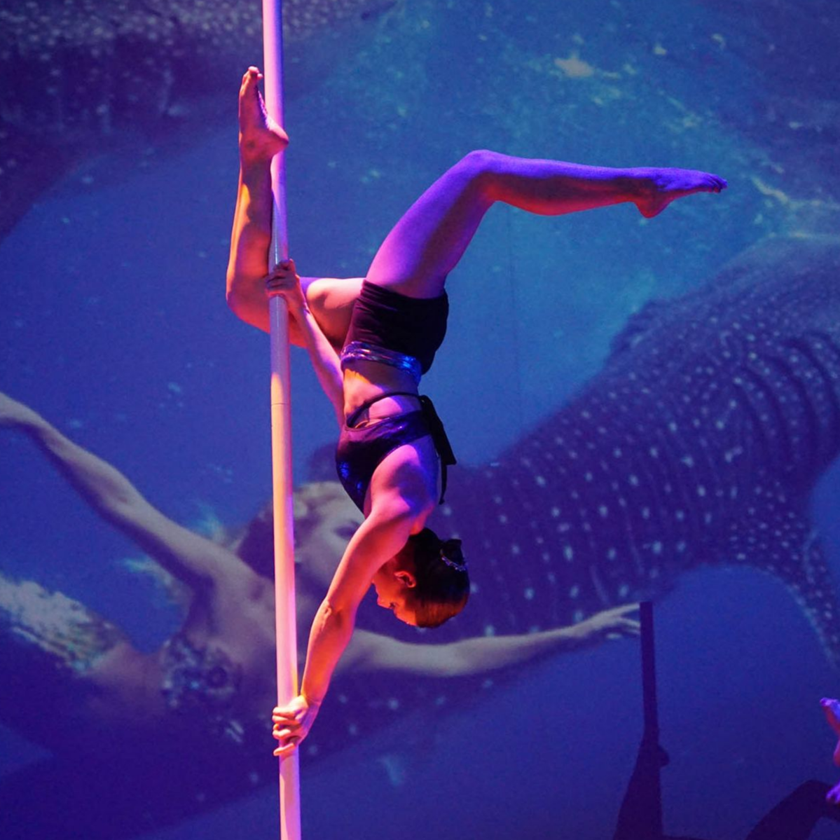 Femme pratiquant la pole dance, la tête en bas. Éclairage bleu, requin-baleine en arrière-plan.