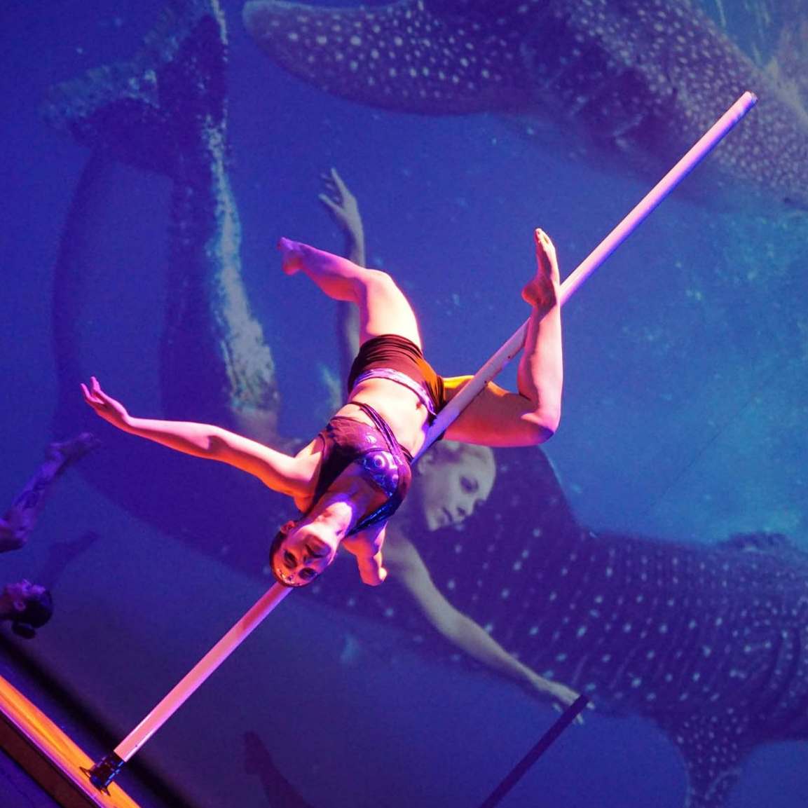 Acrobate sur perche devant des images de requins-baleines, se produisant à l'envers, les bras tendus.