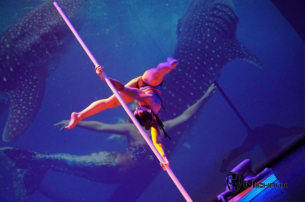 Un acrobate exécute une pole dance aérienne avec en toile de fond un requin-baleine projeté, éclairé par une lumière bleue.