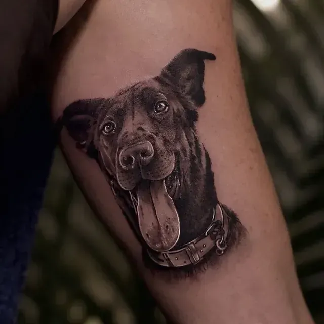 Tatuaje de un perro negro sonriente con la lengua afuera, con collar, en el brazo de una persona.