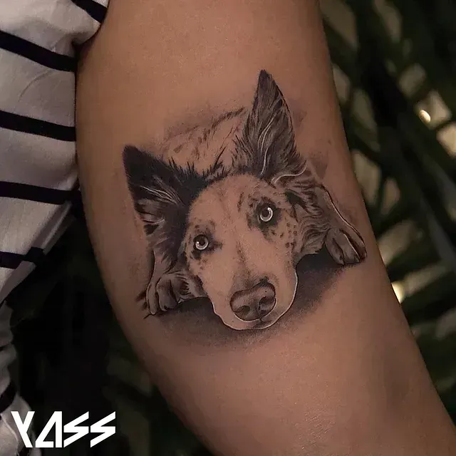 Tatuaje de un perro, blanco y negro, con ojos azules, acostado en el brazo de una persona.