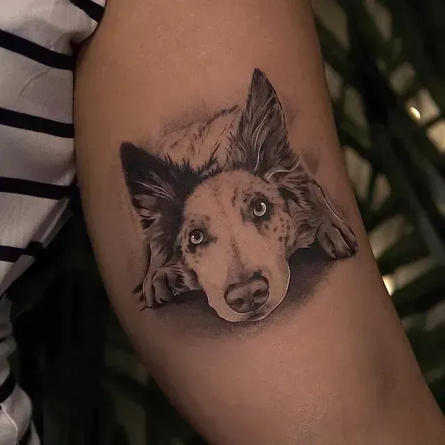 Tatuaje de perro en el brazo, retrato realista en escala de grises de un perro con ojos azules.