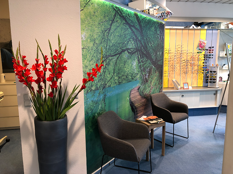 Ein Wartezimmer mit zwei Stühlen und einer Vase mit roten Blumen