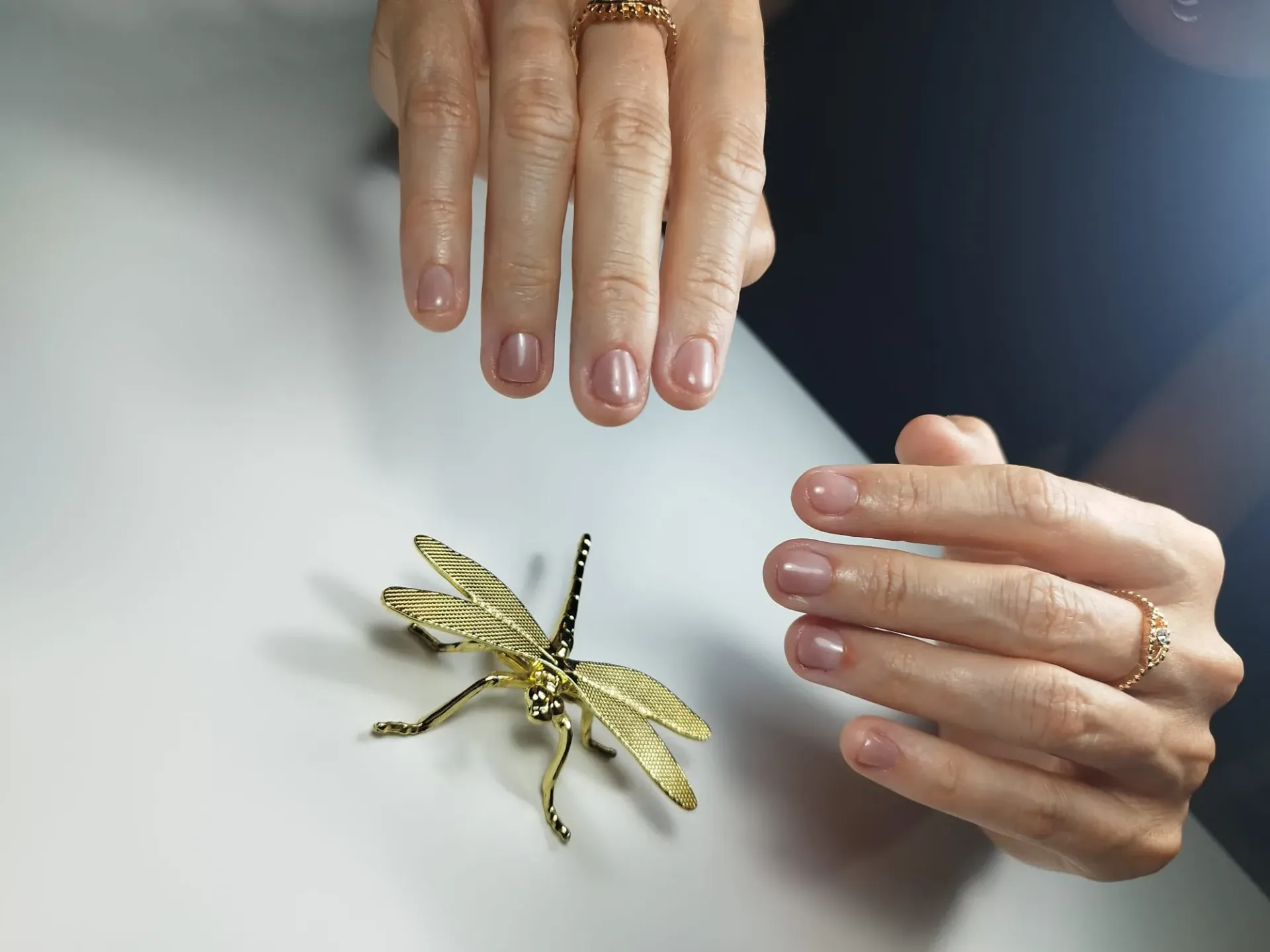 Manos con uñas cortas y pulidas sobre una mesa, con una figura de libélula dorada.