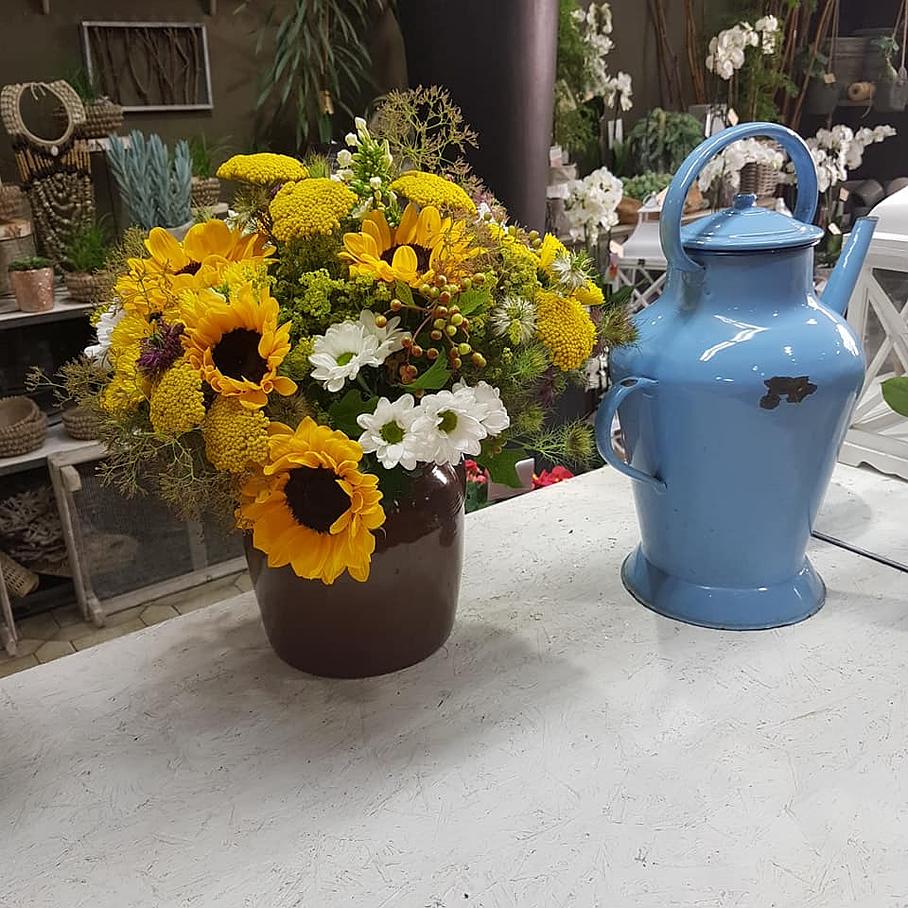 Tournesol à l'honneur à Béziers