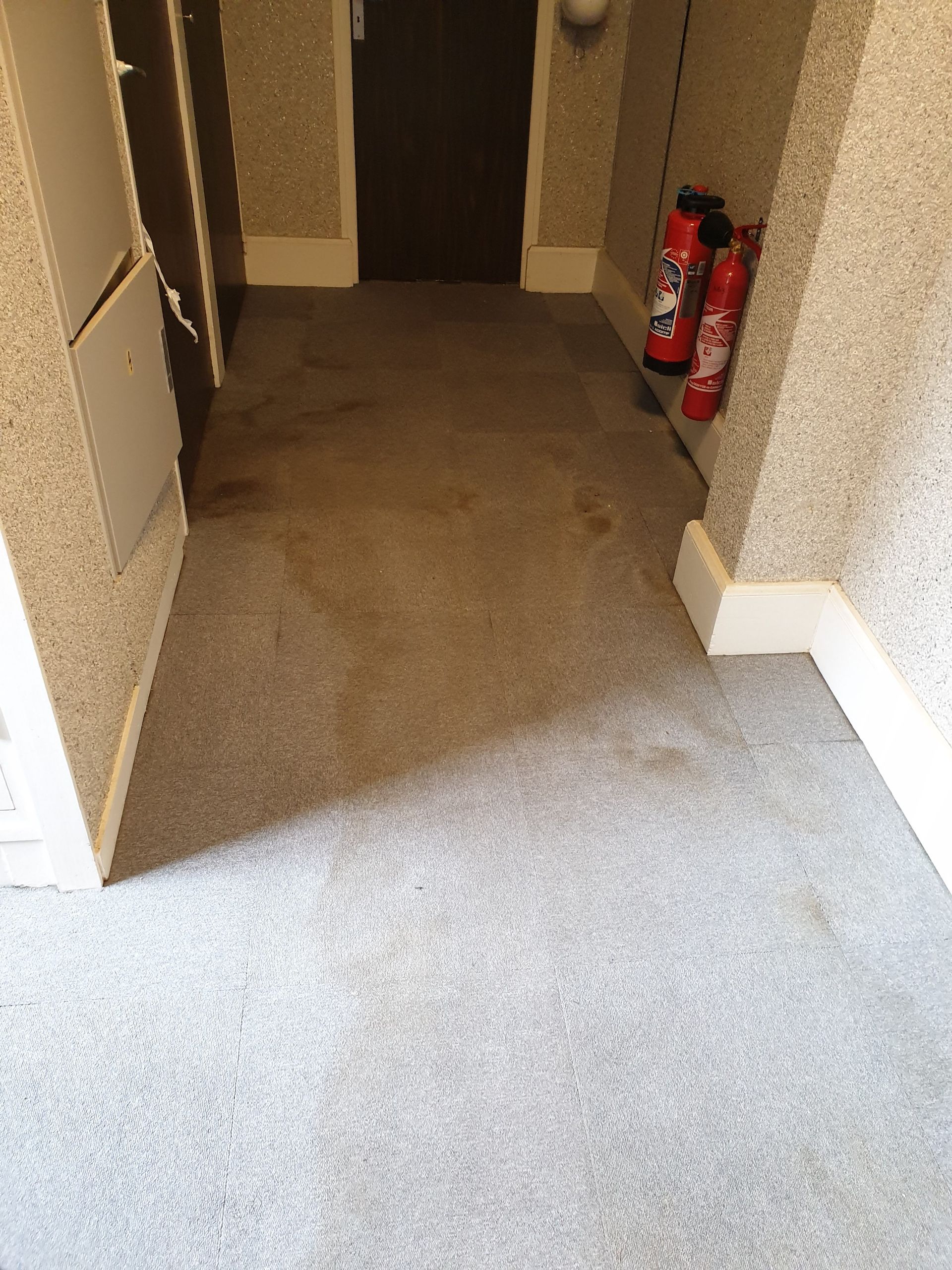 Moquette avant un nettoyage