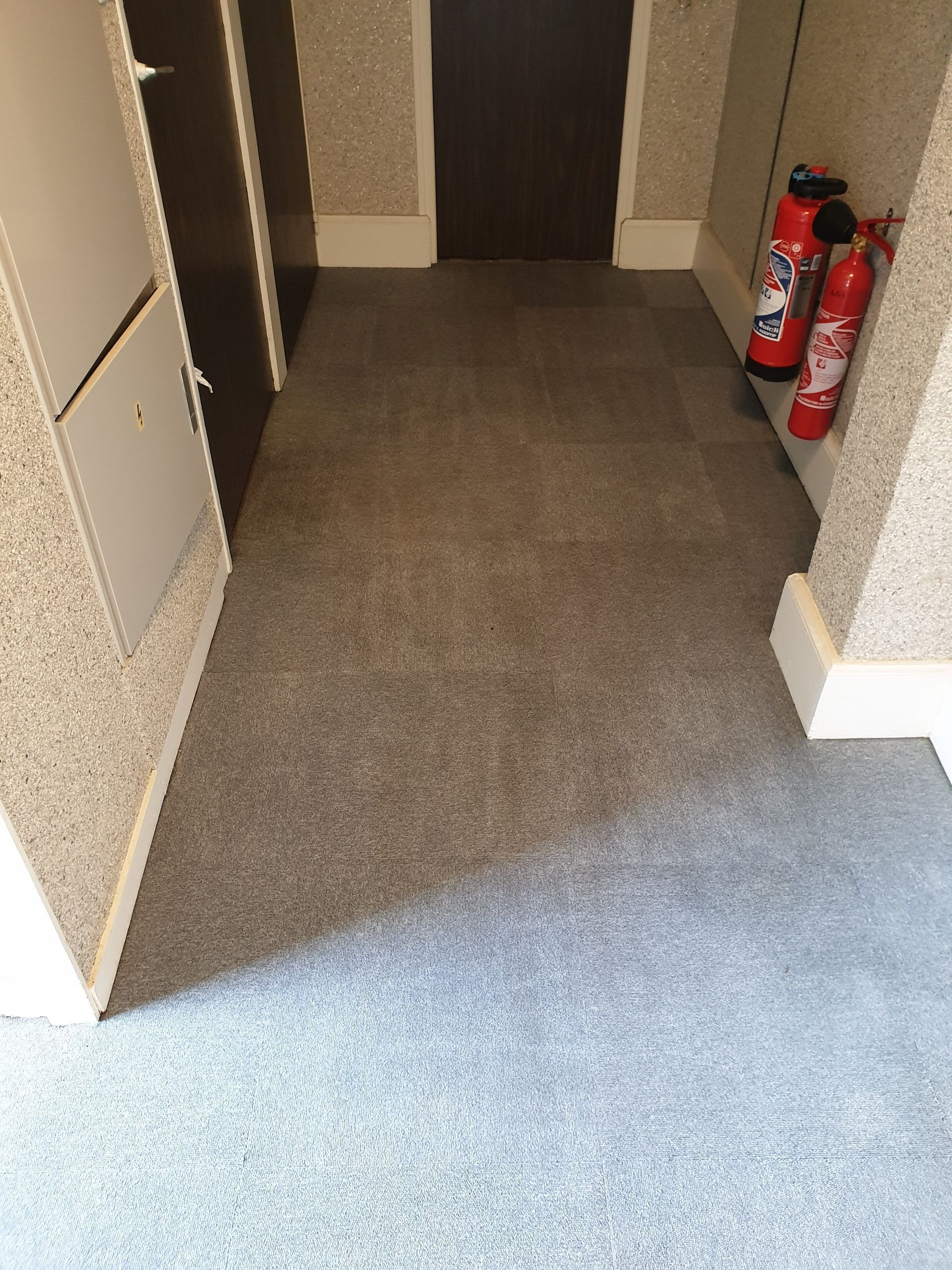 Moquette après un nettoyage