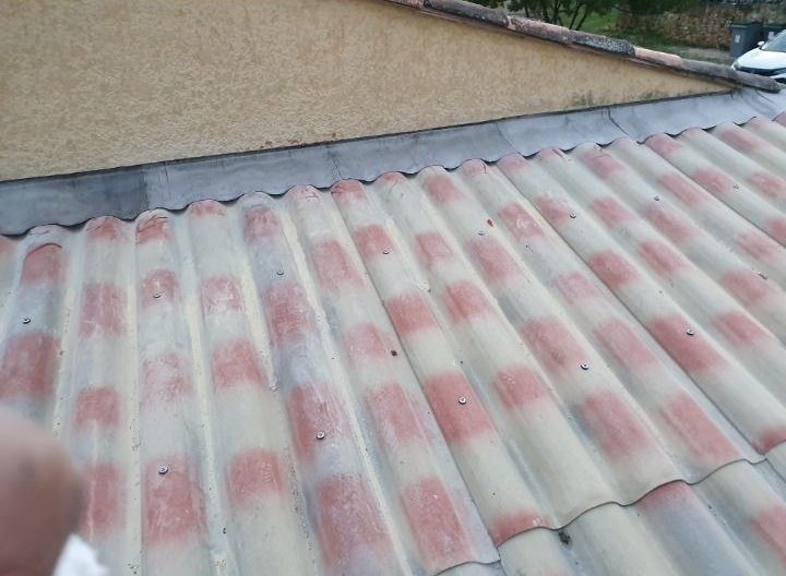 Toit en tôle ondulée patinée par le temps, avec des taches roses délavées, à côté d'un mur beige et de verdure.