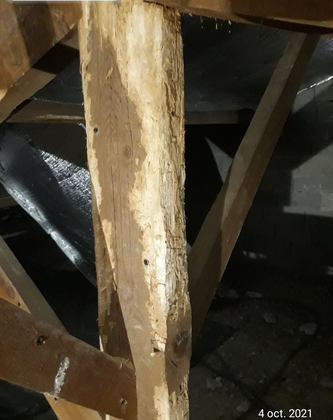 Gros plan sur une poutre en bois endommagée, dont la surface s'écaille, dans un espace intérieur sombre.