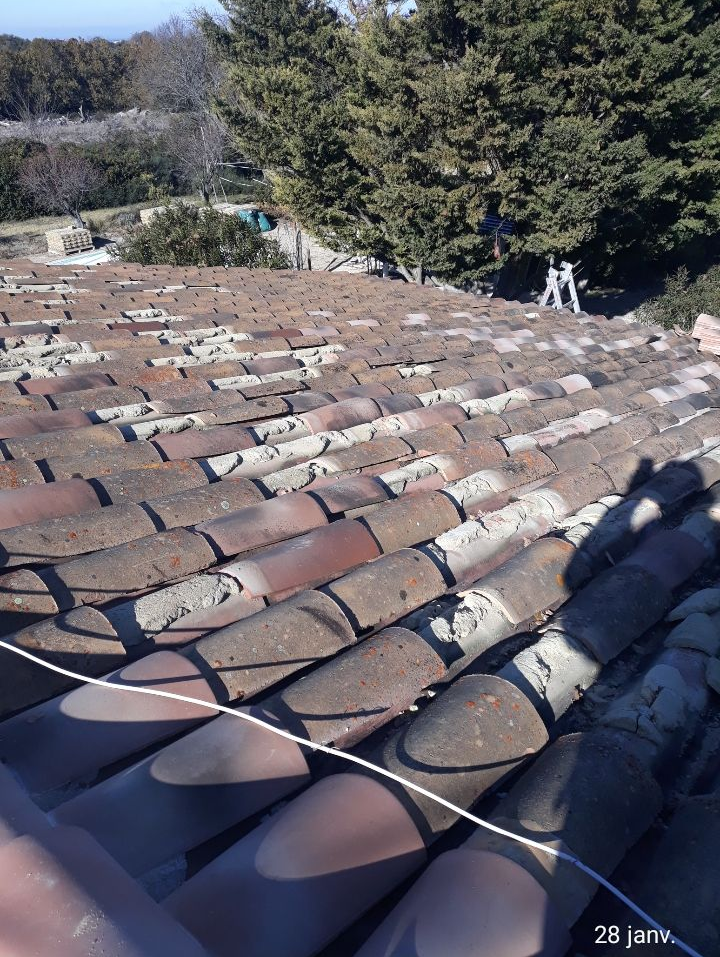 Toit de tuiles en terre cuite ancienne, avec des arbres et une colline en arrière-plan.