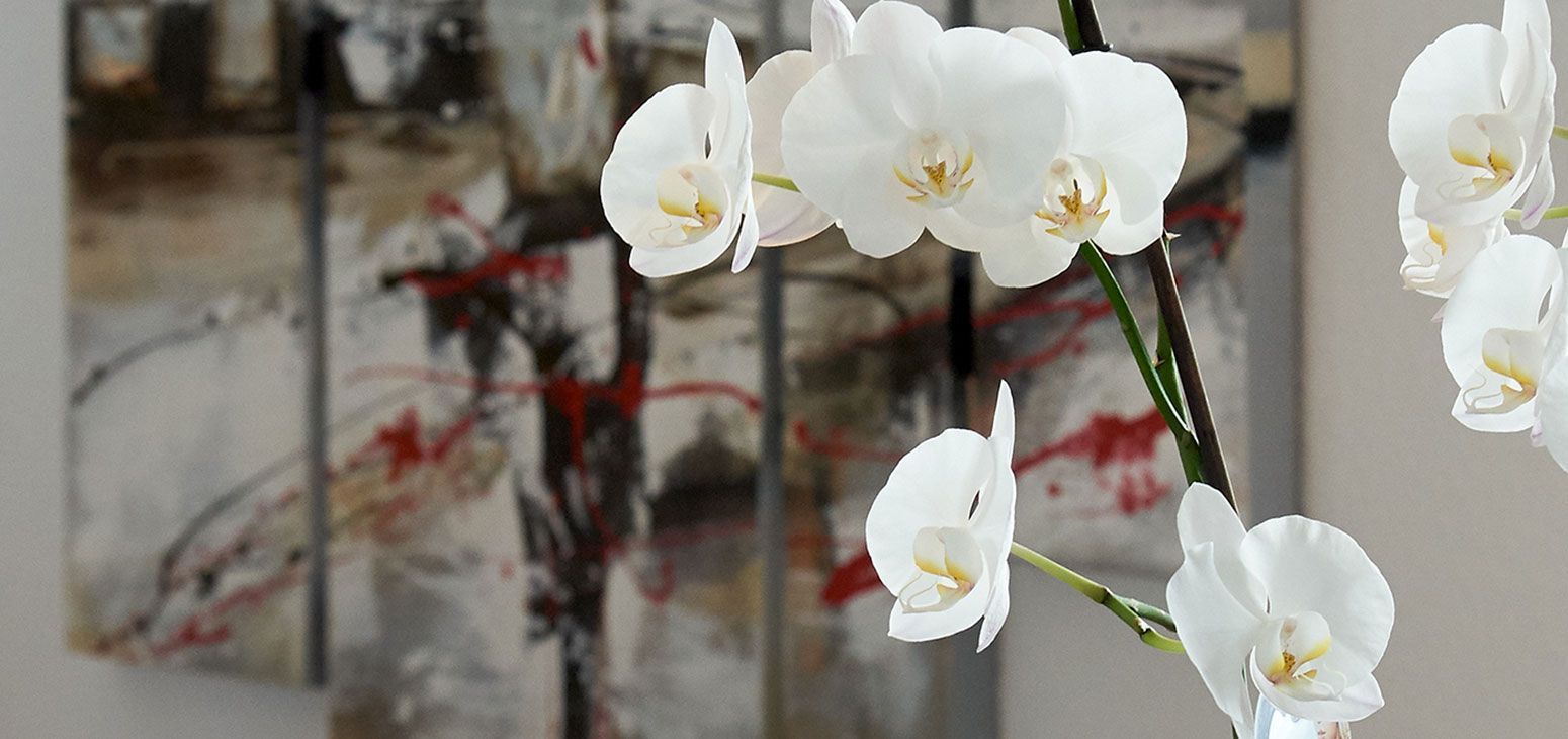 Orchideen in weiß