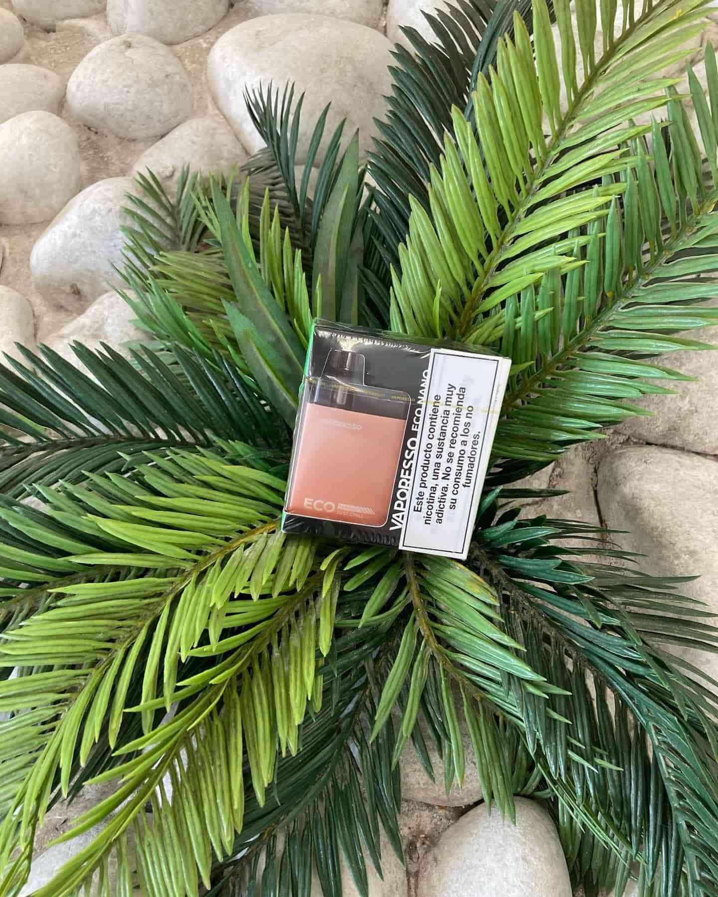 Caja de rubor con un folleto, sobre un lecho de hojas de helecho verdes y piedras blancas.