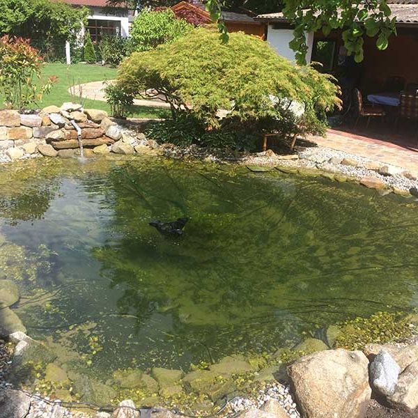 Teich und Quellanlagen