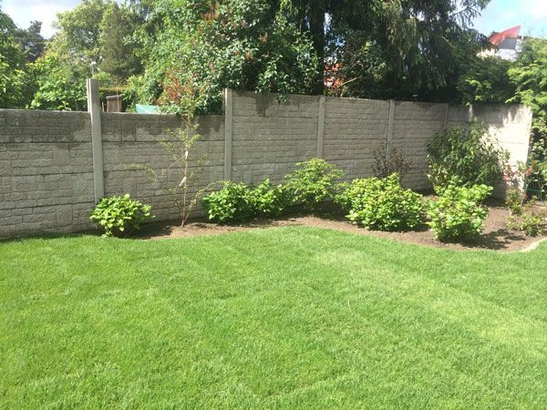 Rasen und Pflanzungen