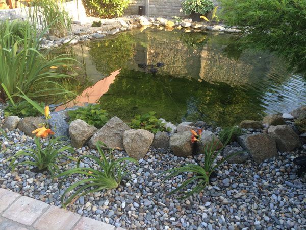 Quell und Teichanlagen