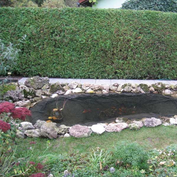 Teich und Quellanlagen