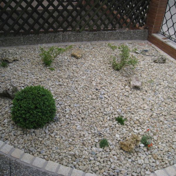 Rasen und Pflanzungen