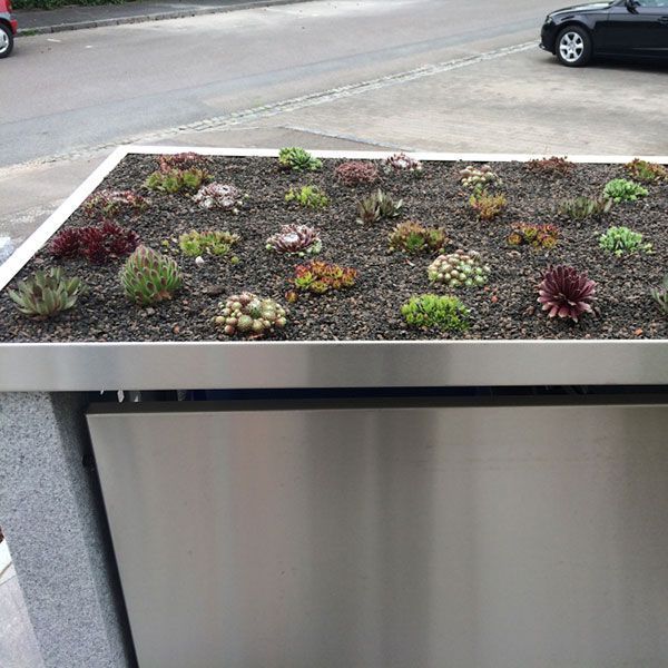 Rasen und Pflanzungen