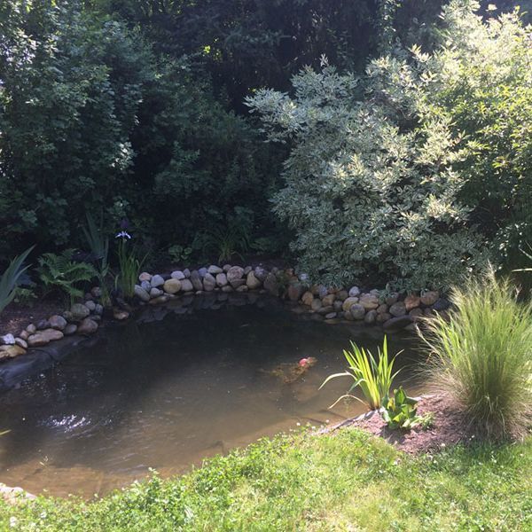 Teich und Quellanlagen