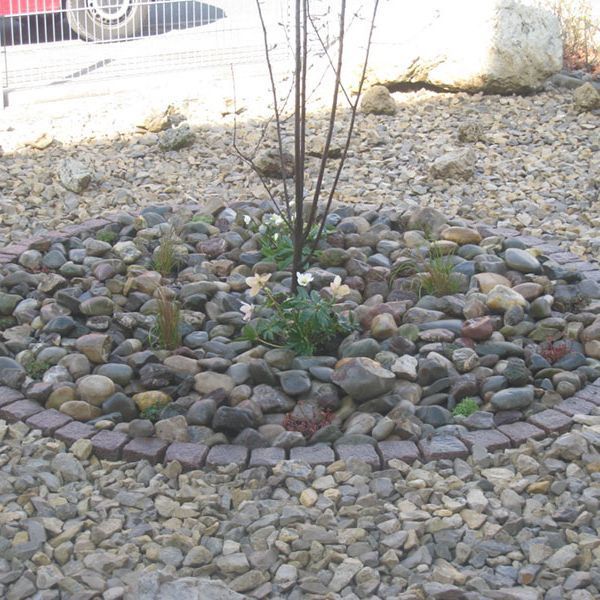 Rasen und Pflanzungen