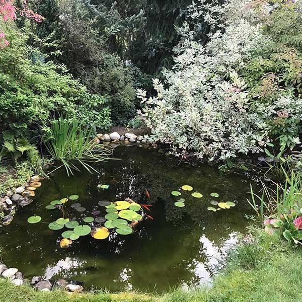 Teich und Quellanlagen