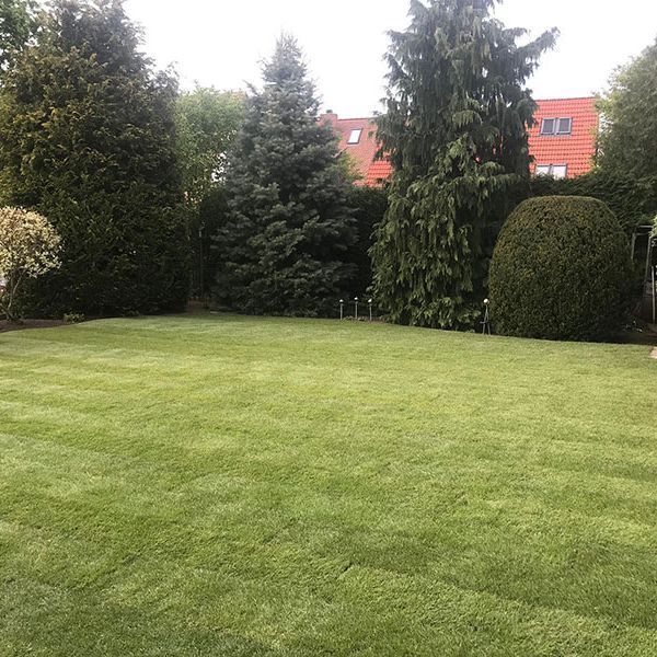 Rasen und Pflanzungen