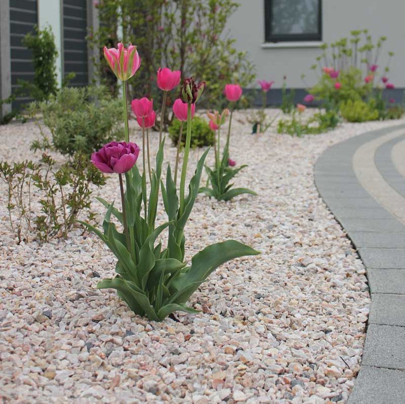 Rasen und Pflanzungen